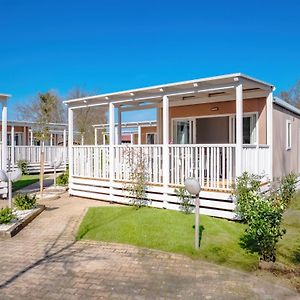 Woonwagen Huisdieren Toegelaten Deluxe