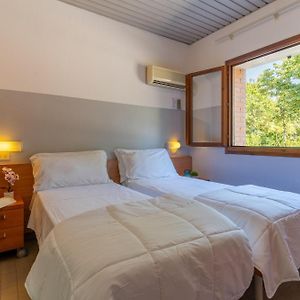 Huisdieren Toegelaten Comfort Bungalow